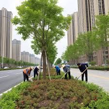 三河市政园林绿化管理中心领导班子