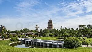 世界杯官网 汝州城市绿化管理处